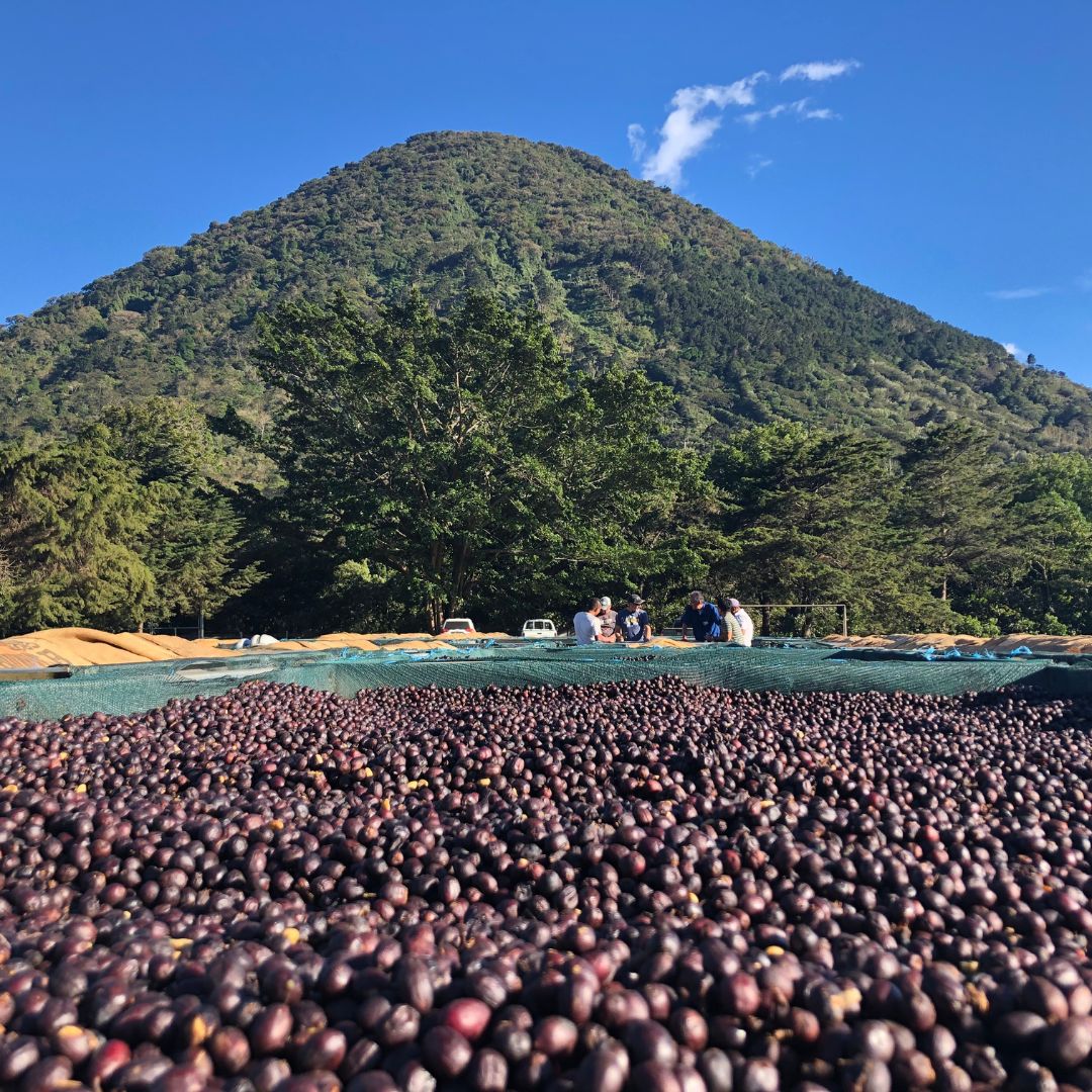 🇸🇻 EL SALVADOR: vulkány & kávový ambice