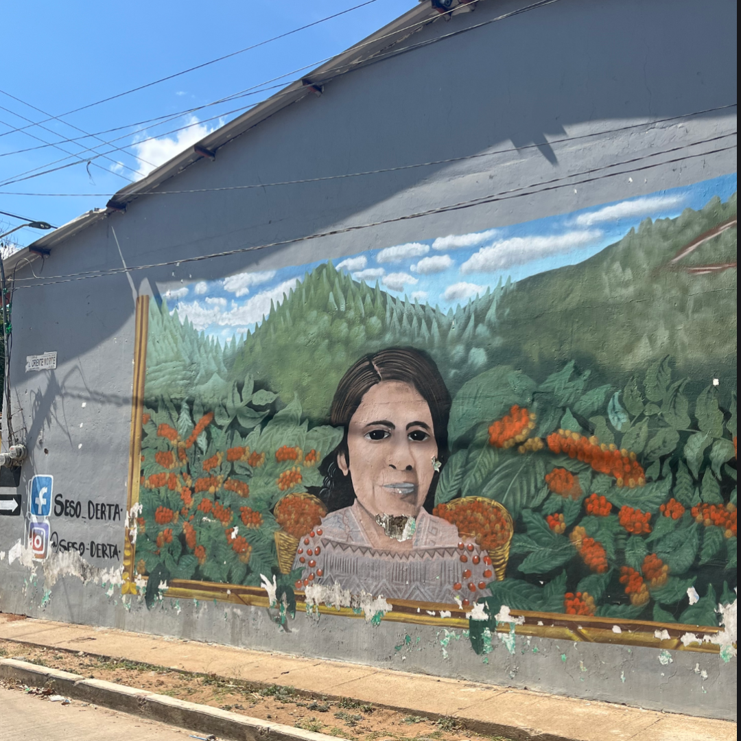 🇲🇽 Mexiko – země hor, tradic a voňavý kávy
