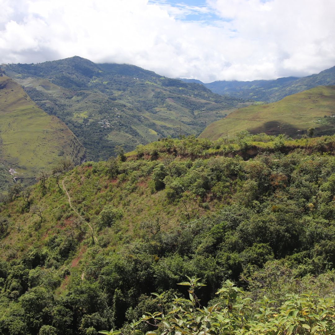 🇵🇪 PERU: andský kafe, který voní jako prales