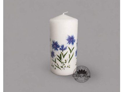 Svíčka velká - Chrpy