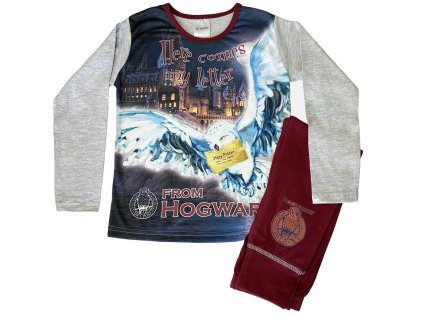 PYBH1935A detske pohadkove pyzamo harry potter l 7 8 let