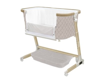 photo 5327923449588475365 x