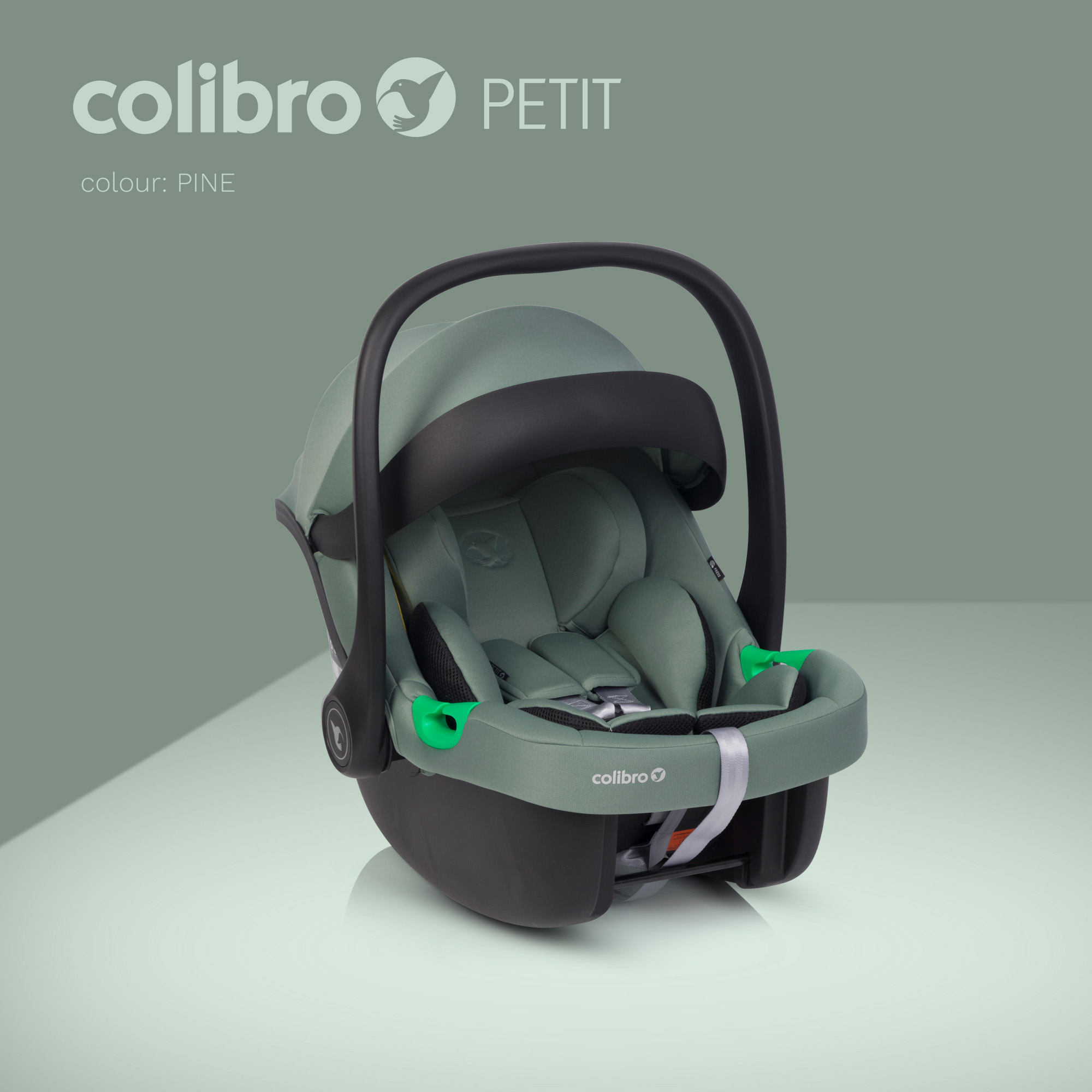 Autosedačka Colibro Petit I-Size 40 - 87 cm Pine