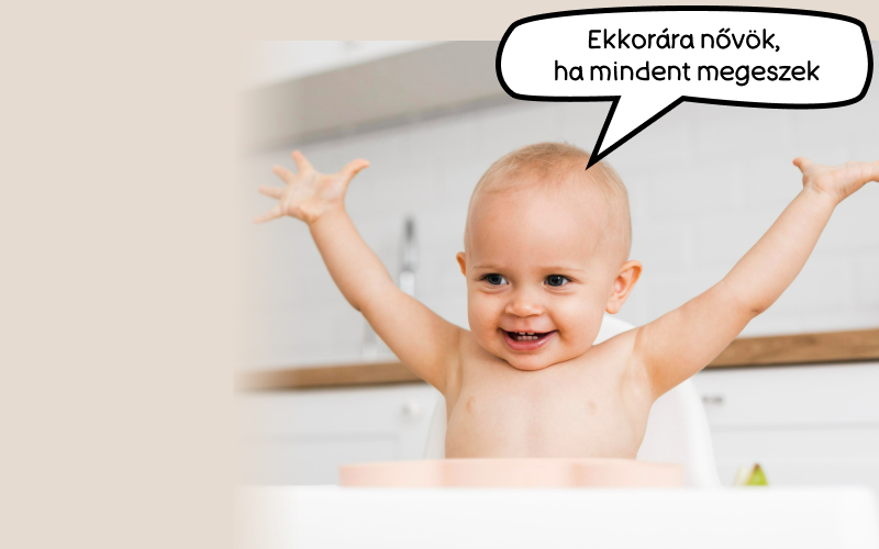 2. STRED - jedalenske stolicky