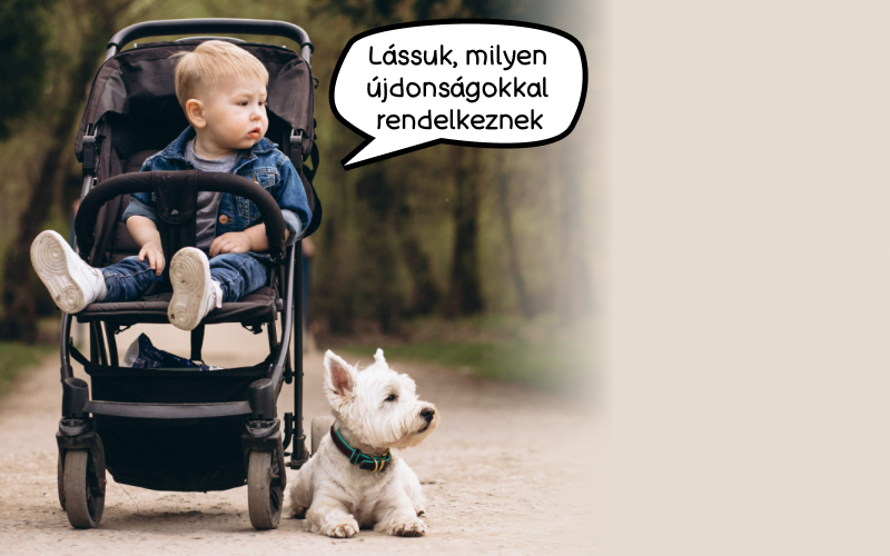 1. STRED - zaujimave novinky