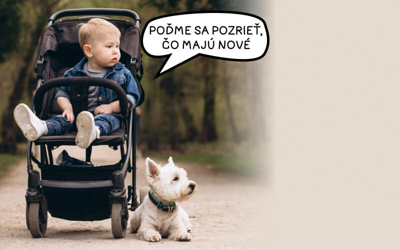 1. STRED - zaujimave novinky