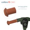 rowerek dzieciecy colibro ciao forest green