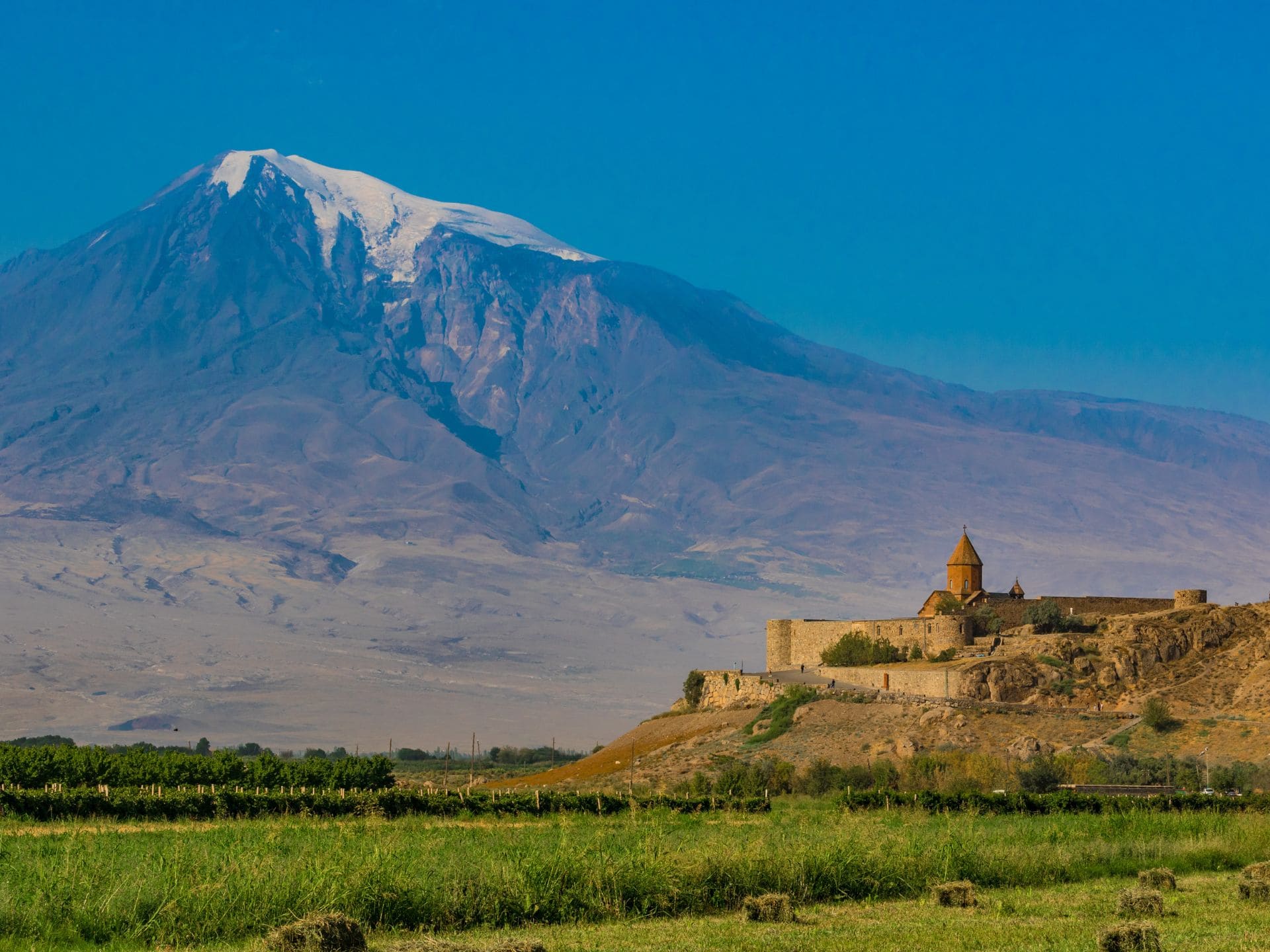 Jaká jsou arménská vína