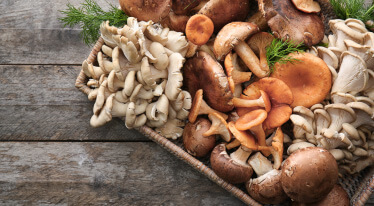 Jak nejlépe zpracovat houby