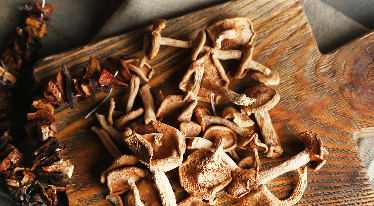 Jak pracovat se sušenými houbami