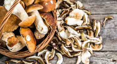 Sušené houby - poklad české kuchyně