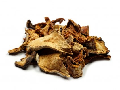 smes hribovitych hub s liskou