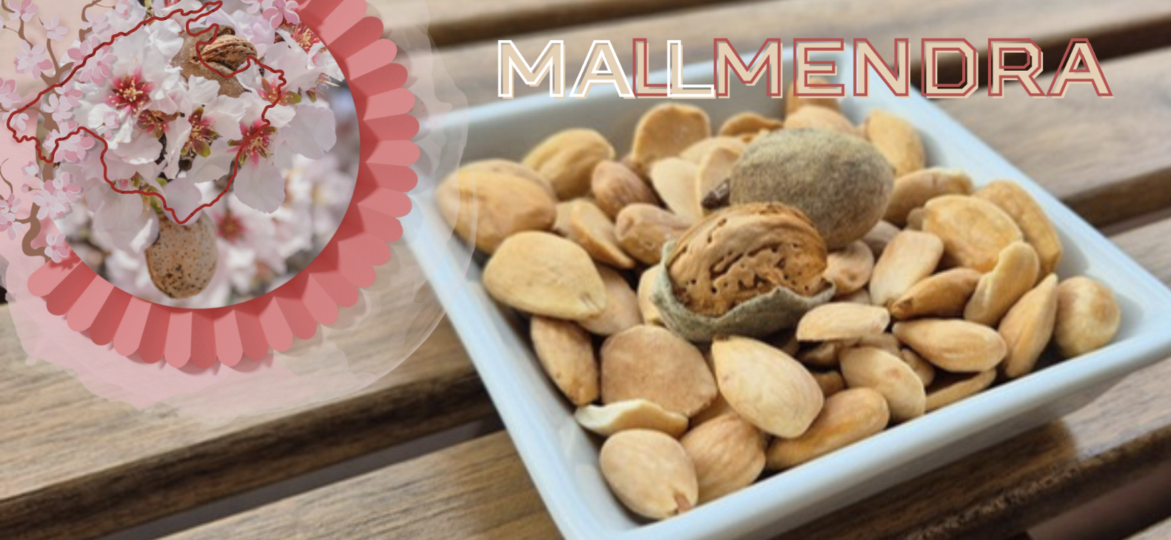 Mallmendra logo