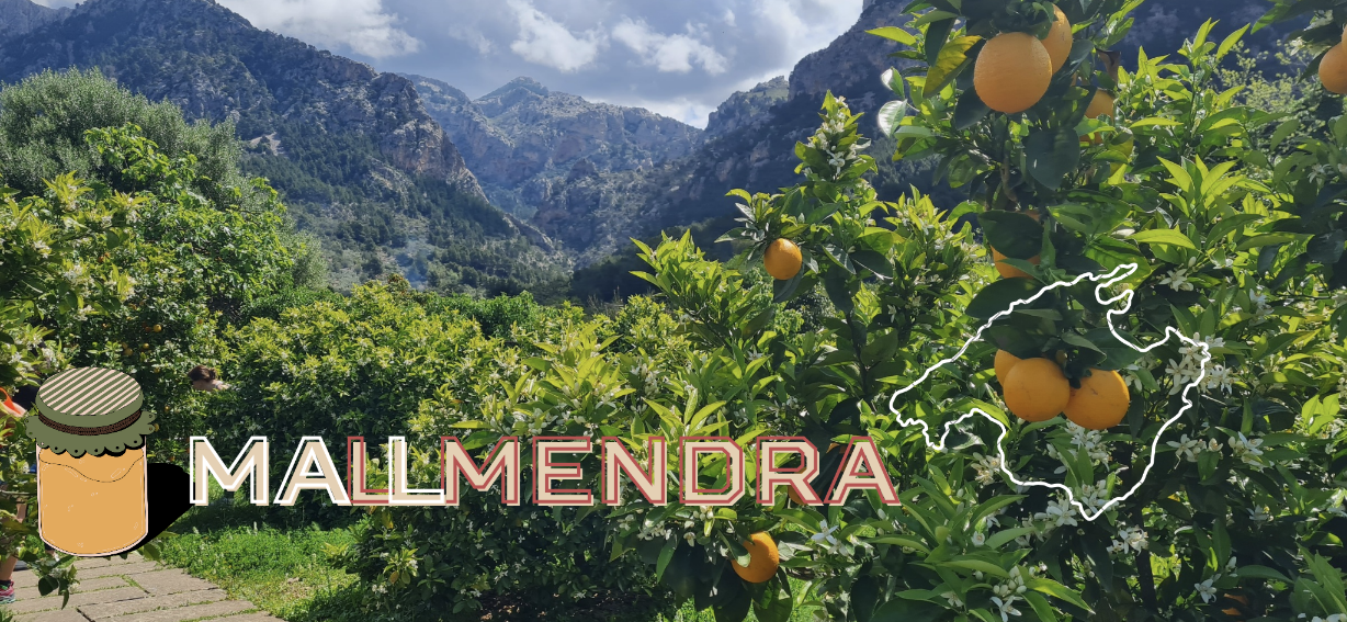 Soller údolí