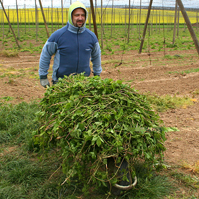 Namísto kompostu do skleniček