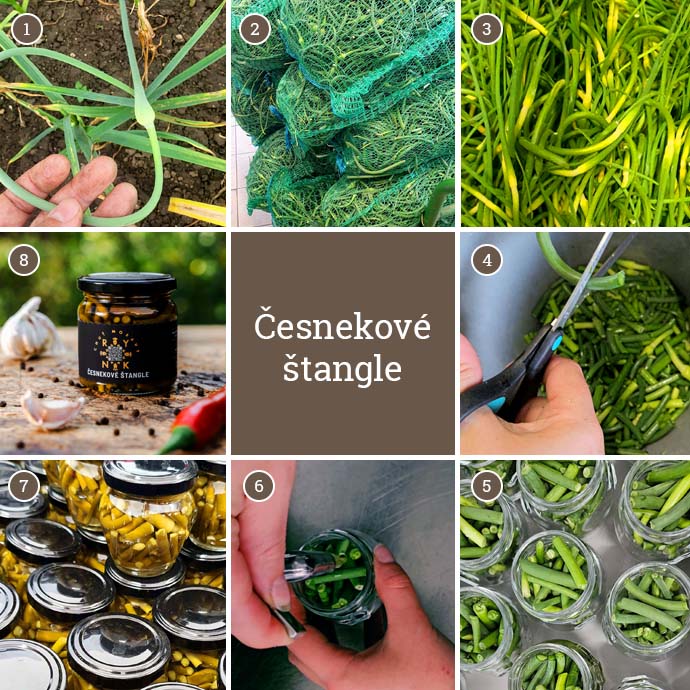 pribeh-vyroby-cesnekove-stangle