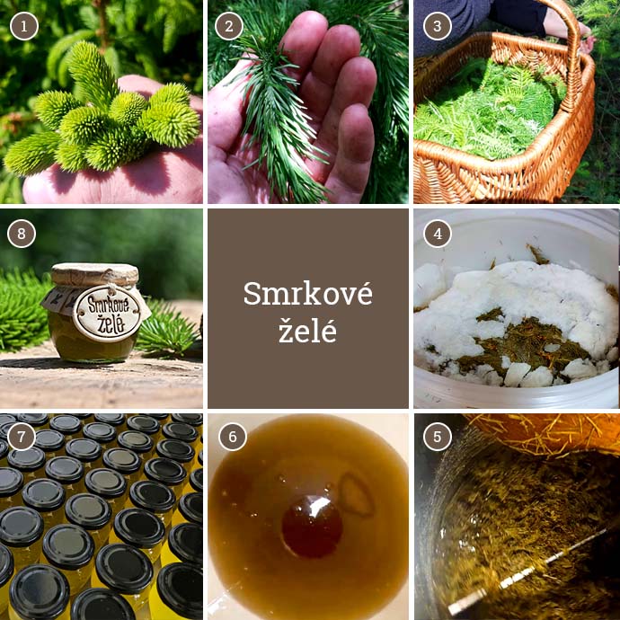 pribeh-vyroby_smrkove-zele