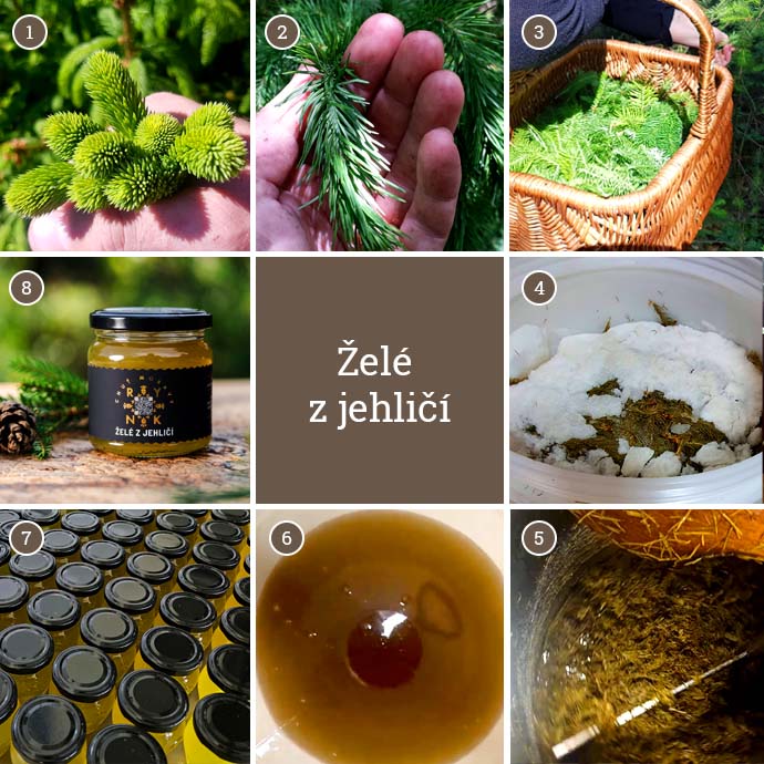 pribeh-vyroby_zele-z-jehlici