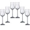6 bohemia crystal liquor glasses colibri