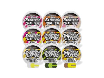 bandum wafters group shot