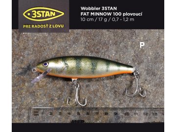 3stan banner 2021 001 P 100 mm