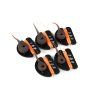 cbw006 010 fox captive backlead group