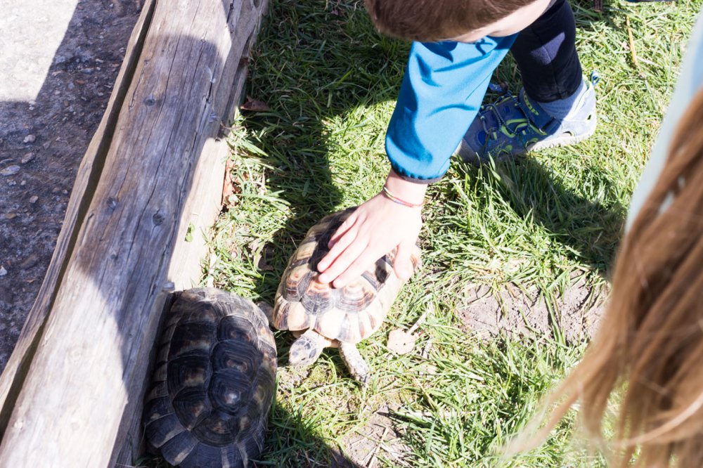 Tip na výlet s dětmi - ZOO Chleby