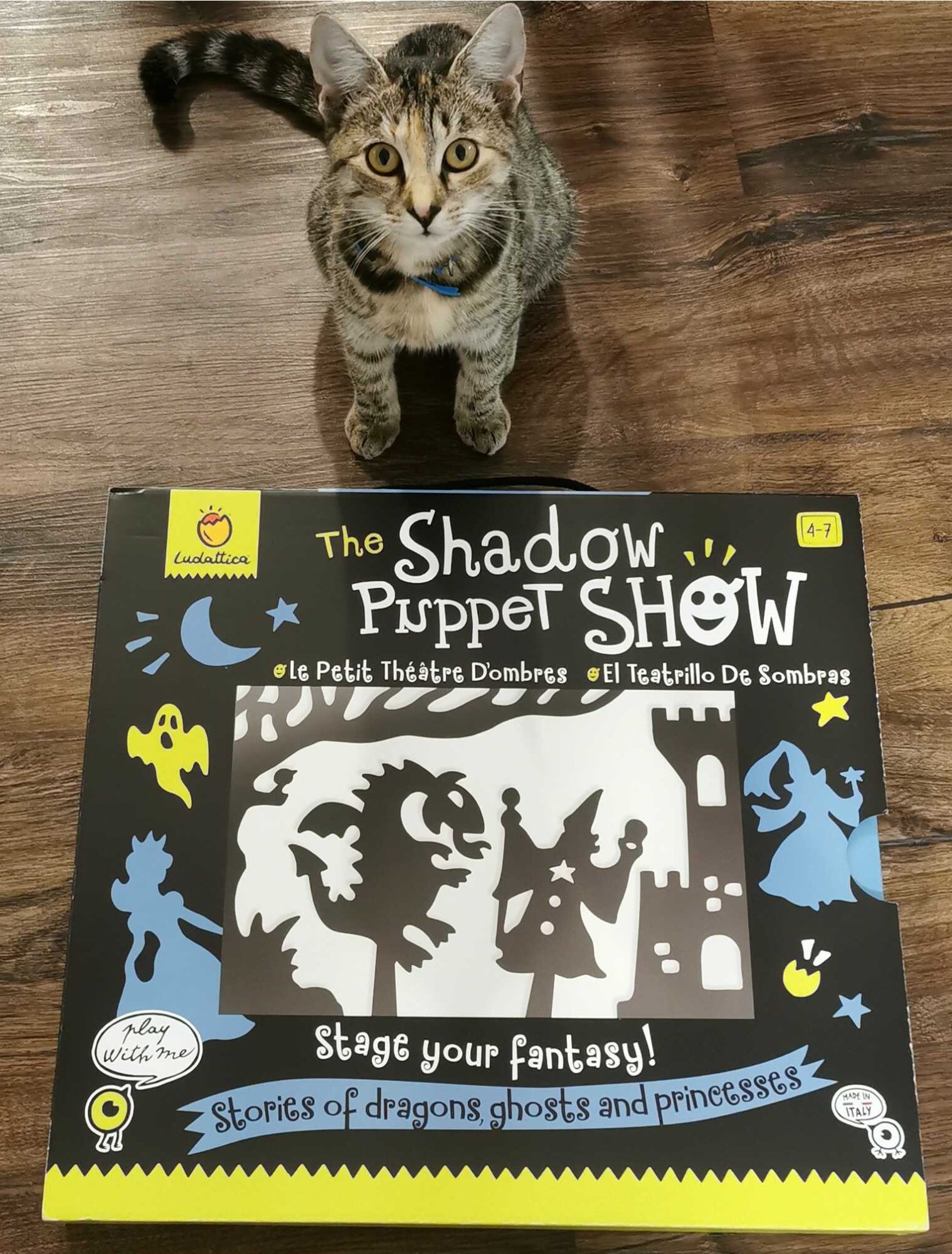 Recenze od Šárky - Ludattica - Stínové divadlo