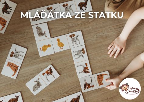 Vpravo dole