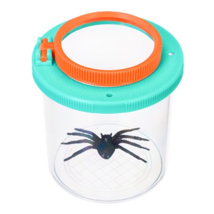 79650 discovery basics cn5 bug jar 00
