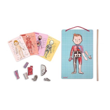Magnetická tabule - Janod - Lidské tělo