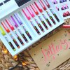 Karin Pigment Deco Brush akrylové fixy sada 12 ks (Barvy Karin 12 PASTEL)