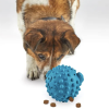 6489 2 brightkins tough tumble treat dispenser small pufferfish