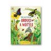 Svojtka - Brouci a motýli
