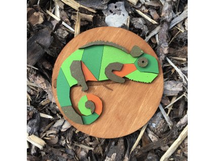 Chameleon zelený
