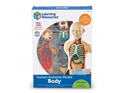 Anatomický model těla