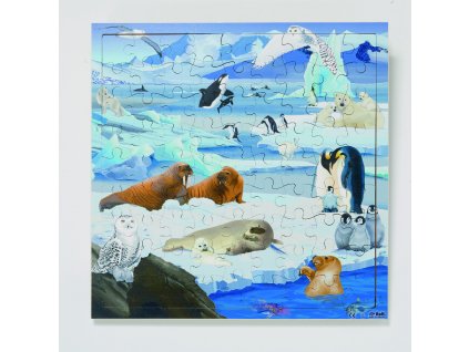 "Živé" dřevěné puzzle Zvířátka z antarktidy Rolf + aplikace k "oživnutí"
