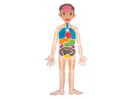 Velké anatomické puzzle PlayMais® Classic "Moje tělo"