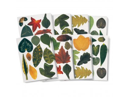 15334 Crafty Leaves Paper