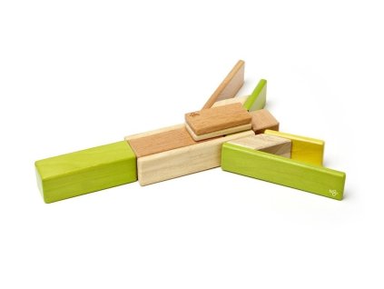 Tegu - sada s magnetickými dřevěnými kostkami "Jungle" (14ks)