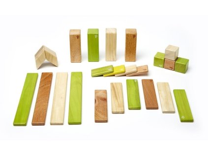 Tegu - sada s magnetickými dřevěnými kostkami "Jungle" (24ks)