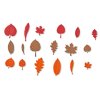 94460 SensoryLeavesActSet red leaves web