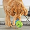9372 CactusTreatDisp Dog 1 4
