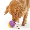 9384 Lrg CupcakeTreatDesp Dog 1 4