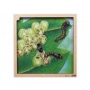 6928 4 ctyrvrstve vyvojove puzzle motyl free aplikace