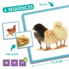 nature maxi sequences