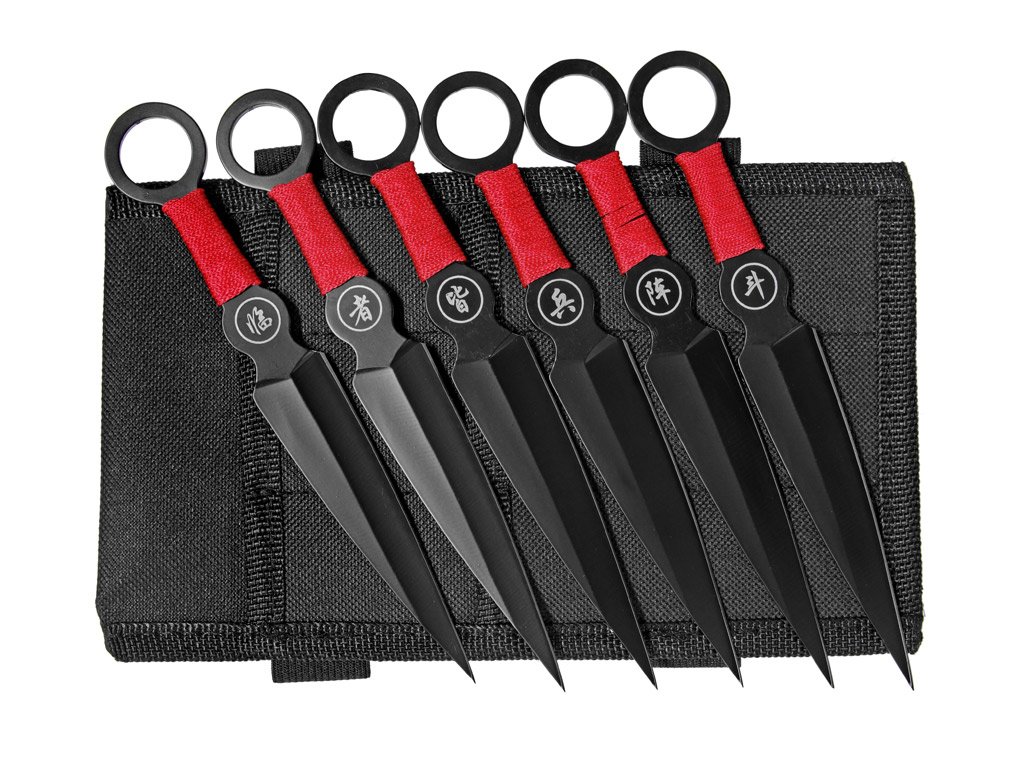 {E3ADFA95 5F1C 4F79 90EC 1944E6DFBA34} V