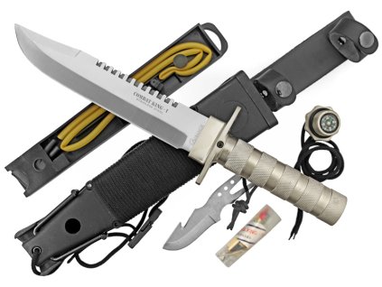 {E69783B3 ACAA 45A3 8B69 3EB1DB95684E} V