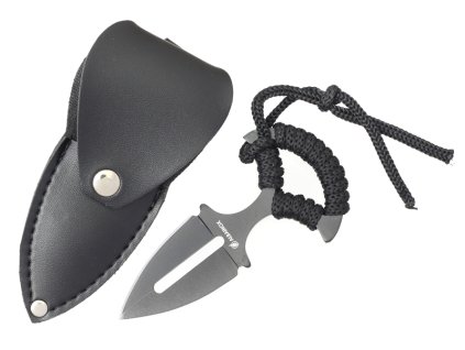 {2AEC66F1 7D43 4900 A6C3 D2851FEE6AB7} V