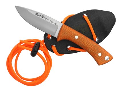 {E2F52C56 4AF1 451A 890D 9B2459B1493C} V